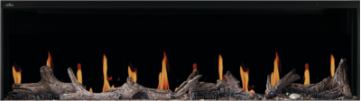 Luminex Series
